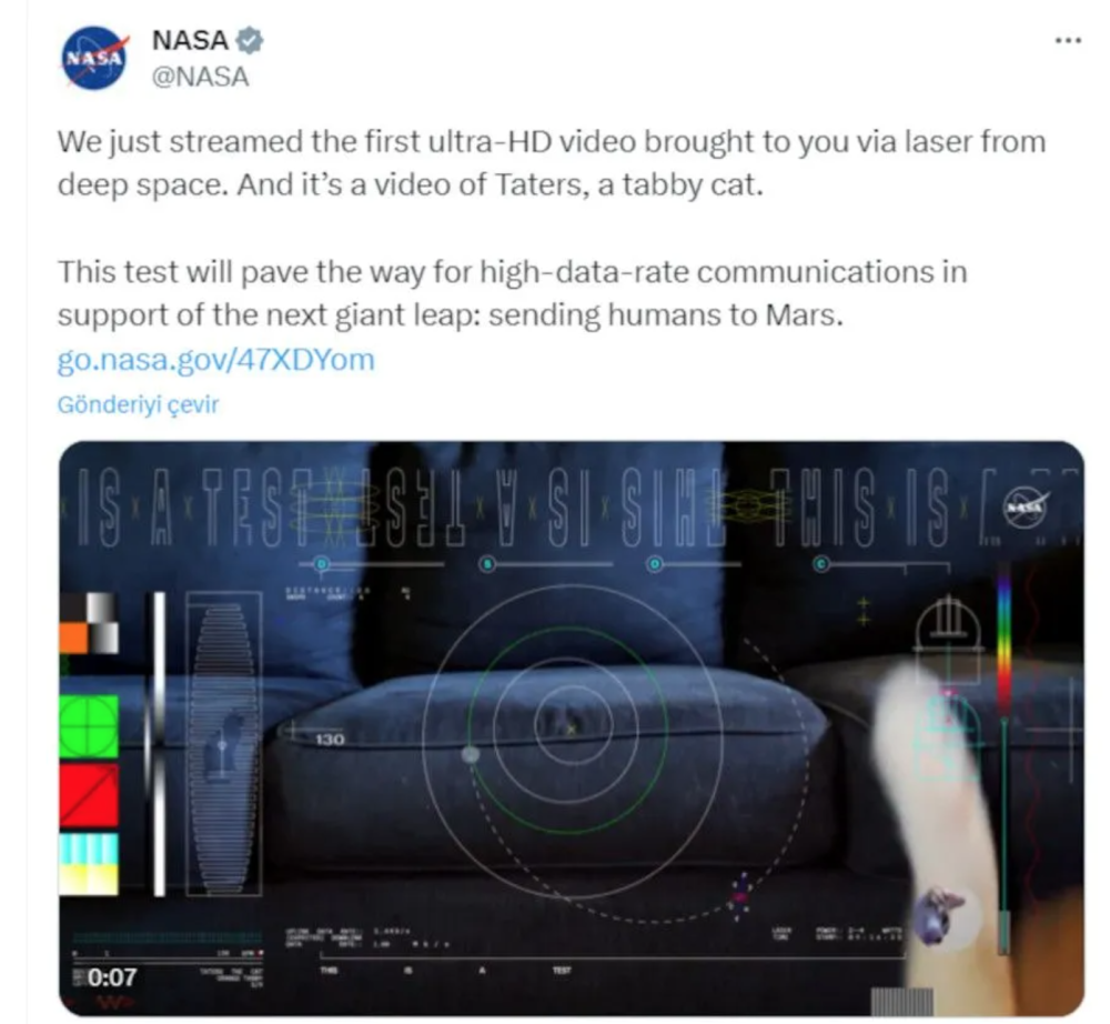 nasa uzayin derinliklerinden dunyaya kedi videosu gonderdi